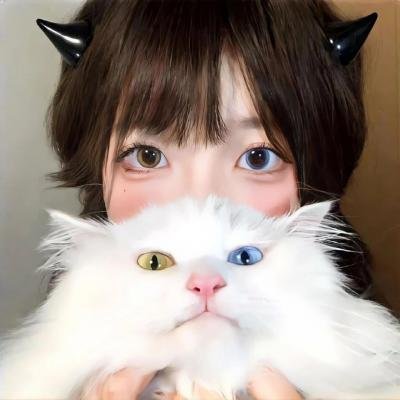 捕蝇纸
