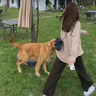 我所有的朋友都死了